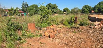 Vacant Land / Plot For Sale in Muledane, Mphaphuli