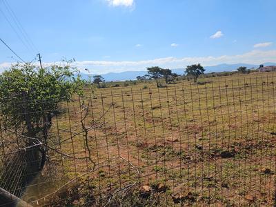 Agricultural For Sale in Rathidili, Sinthumule