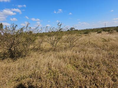 Agricultural For Sale in Rathidili, Sinthumule